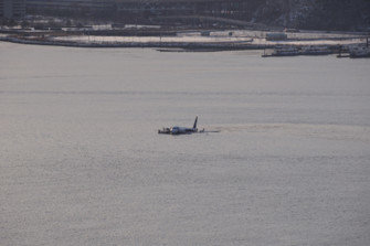 Flugzeug im Hudson River
